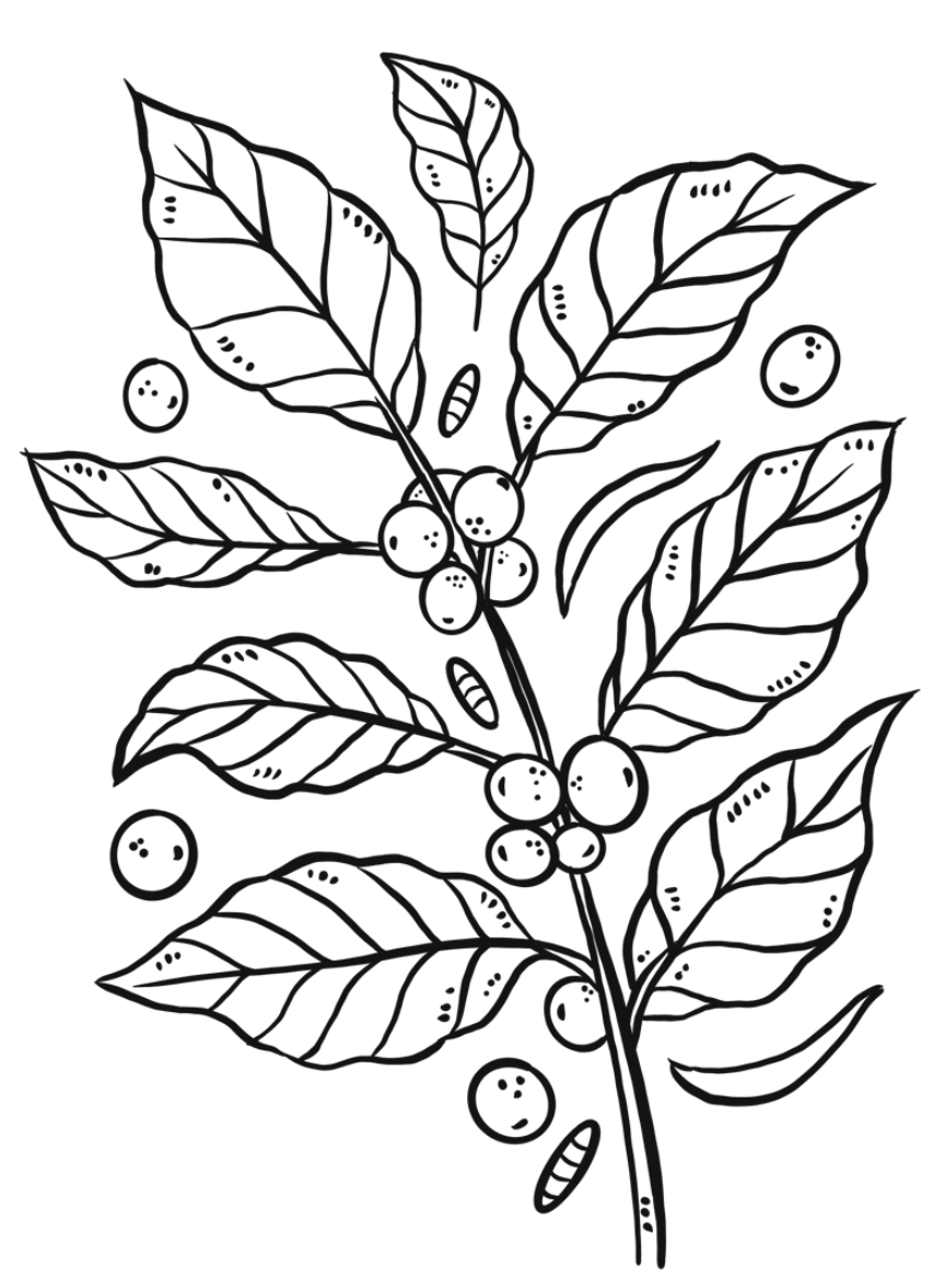bg_leaf